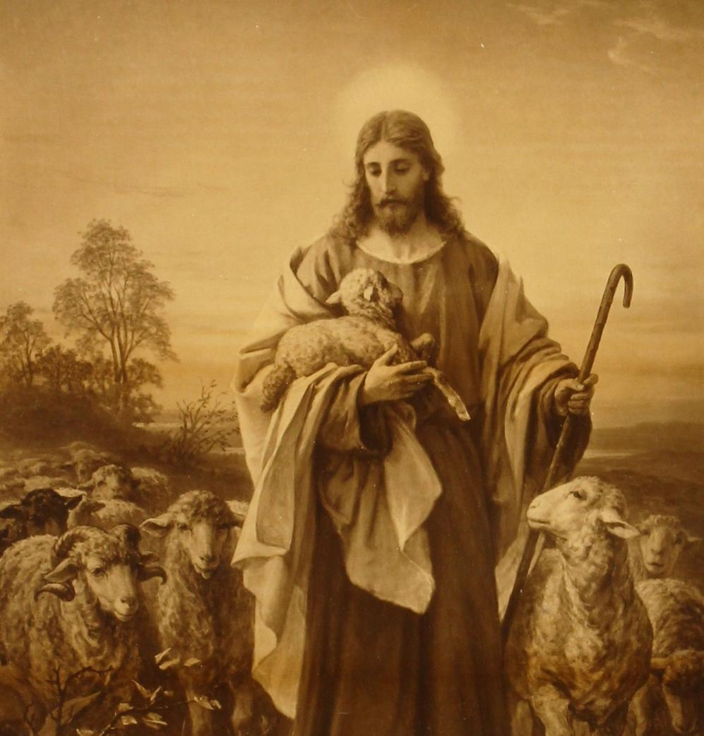 Sheep among wolves: strength and gentleness in the Christian life